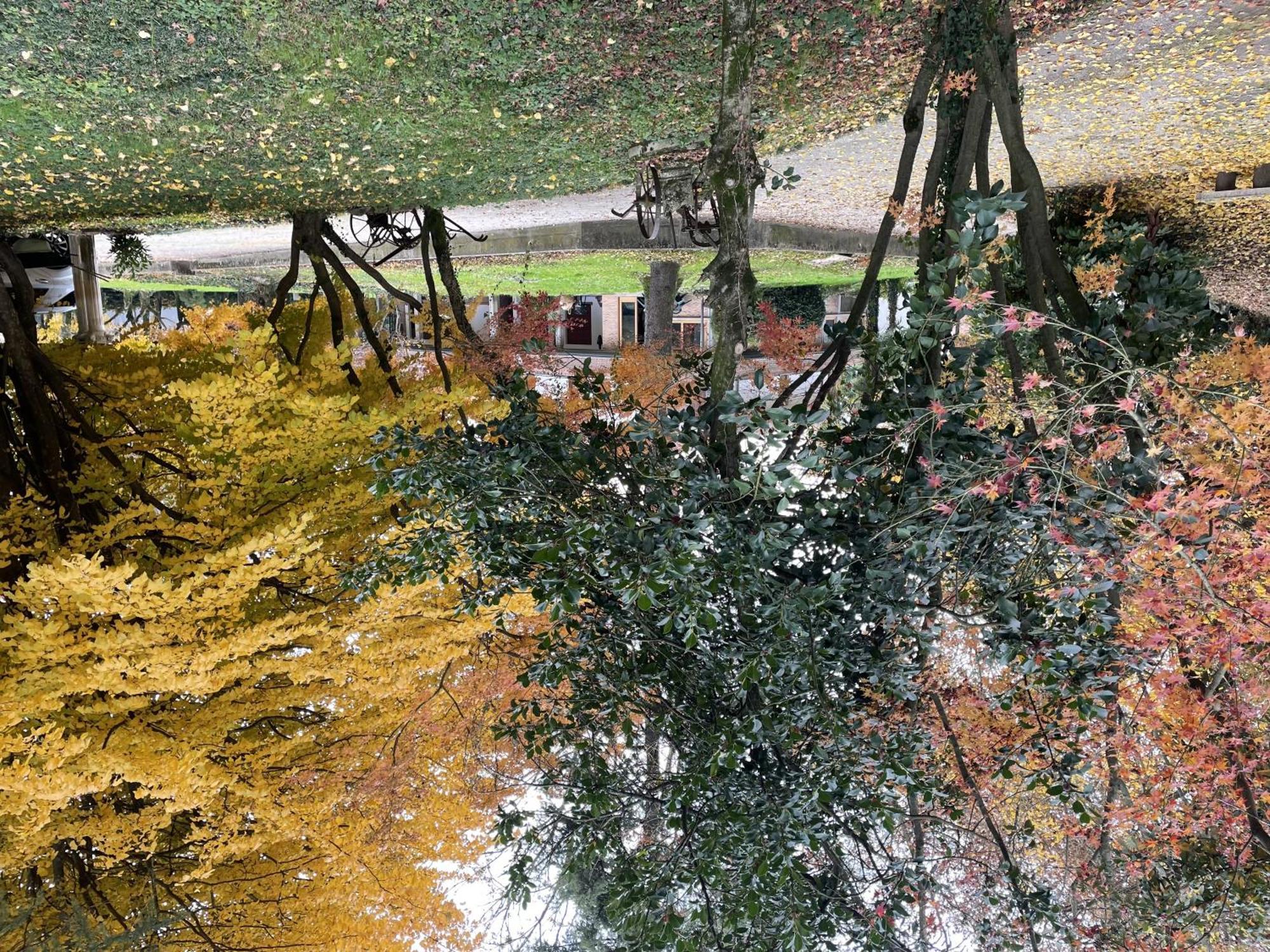 Padova Villetta Con Ampio Parco Privato Campodarsego ภายนอก รูปภาพ
